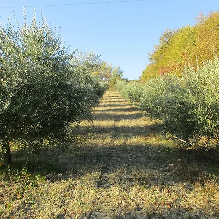 Il Casato Vakantieboerderij