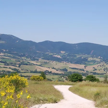 Il Casato Vakantieboerderij