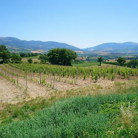 Il Casato Castelraimondo